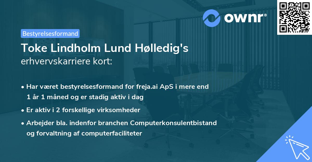 Toke Lindholm Lund Hølledig's erhvervskarriere kort