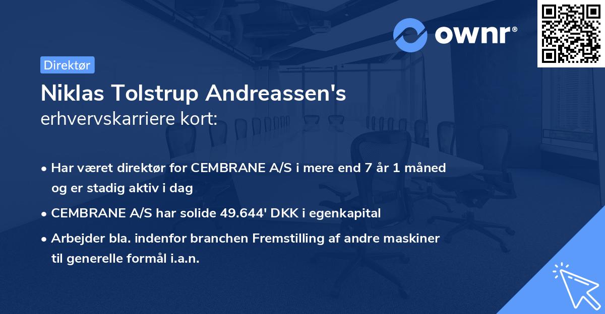 Niklas Tolstrup Andreassen's erhvervskarriere kort