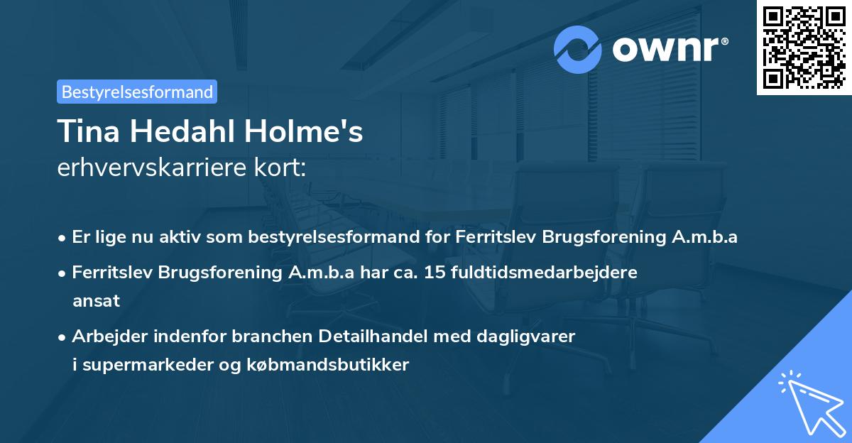 Tina Hedahl Holme's erhvervskarriere kort