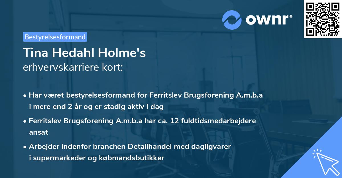 Tina Hedahl Holme's erhvervskarriere kort