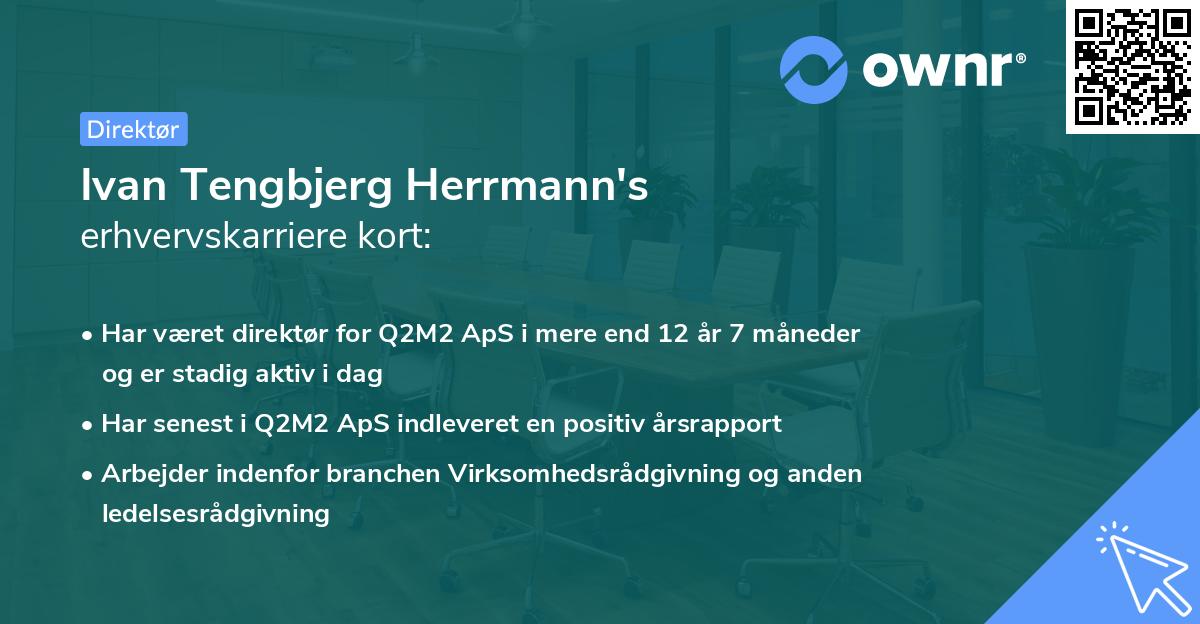 Ivan Tengbjerg Herrmann's erhvervskarriere kort