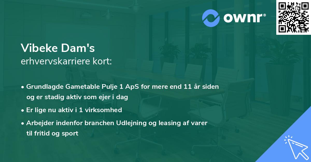Vibeke Dam's erhvervskarriere kort