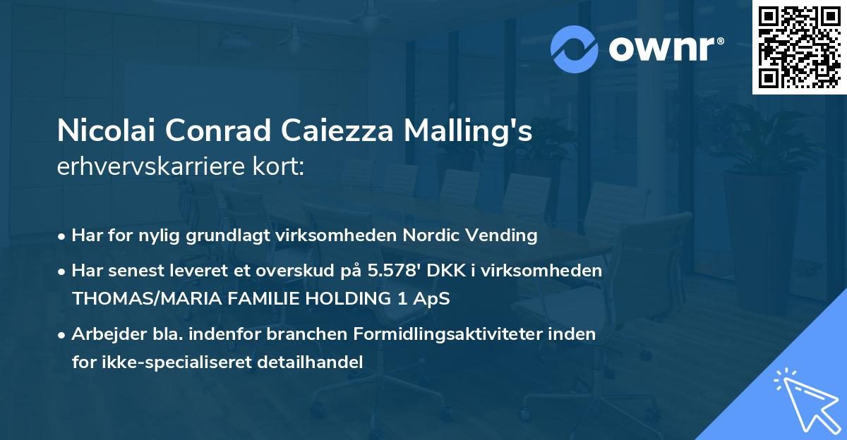Nicolai Conrad Caiezza Malling's erhvervskarriere kort