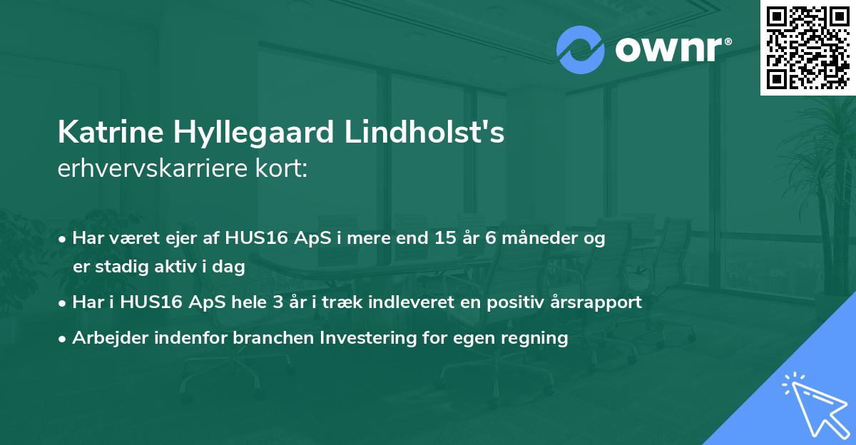 Katrine Hyllegaard Lindholst's erhvervskarriere kort