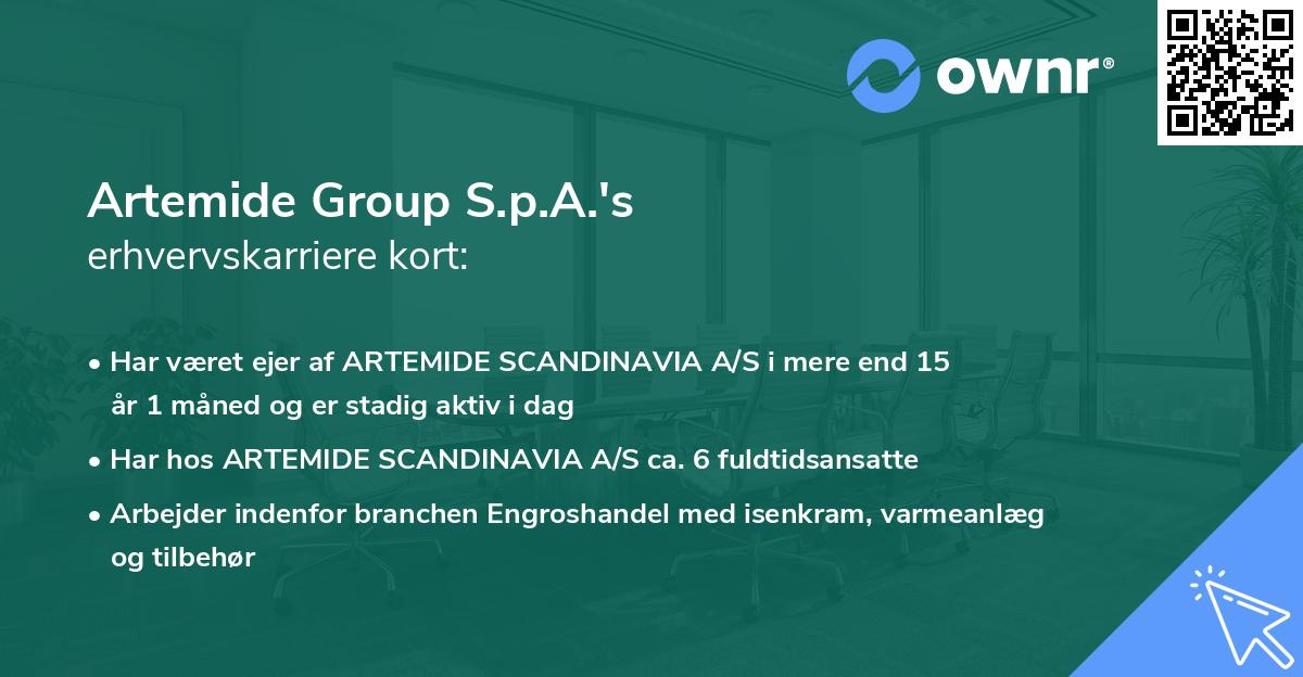 Artemide Group S.p.A.'s erhvervskarriere kort