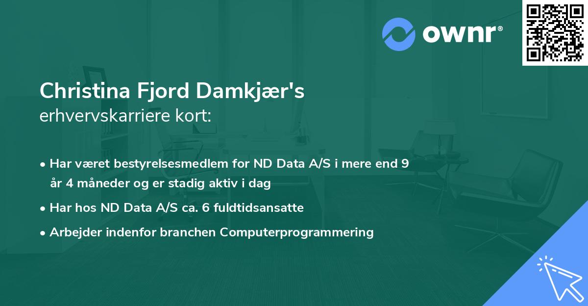 Christina Fjord Damkjær's erhvervskarriere kort
