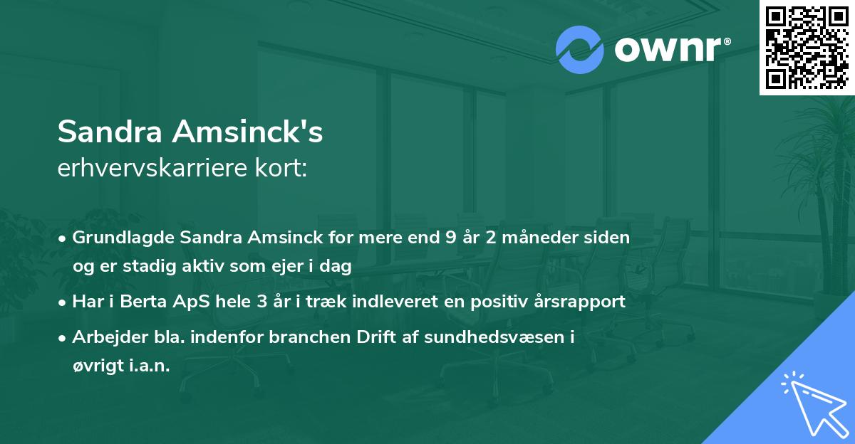 Sandra Amsinck's erhvervskarriere kort
