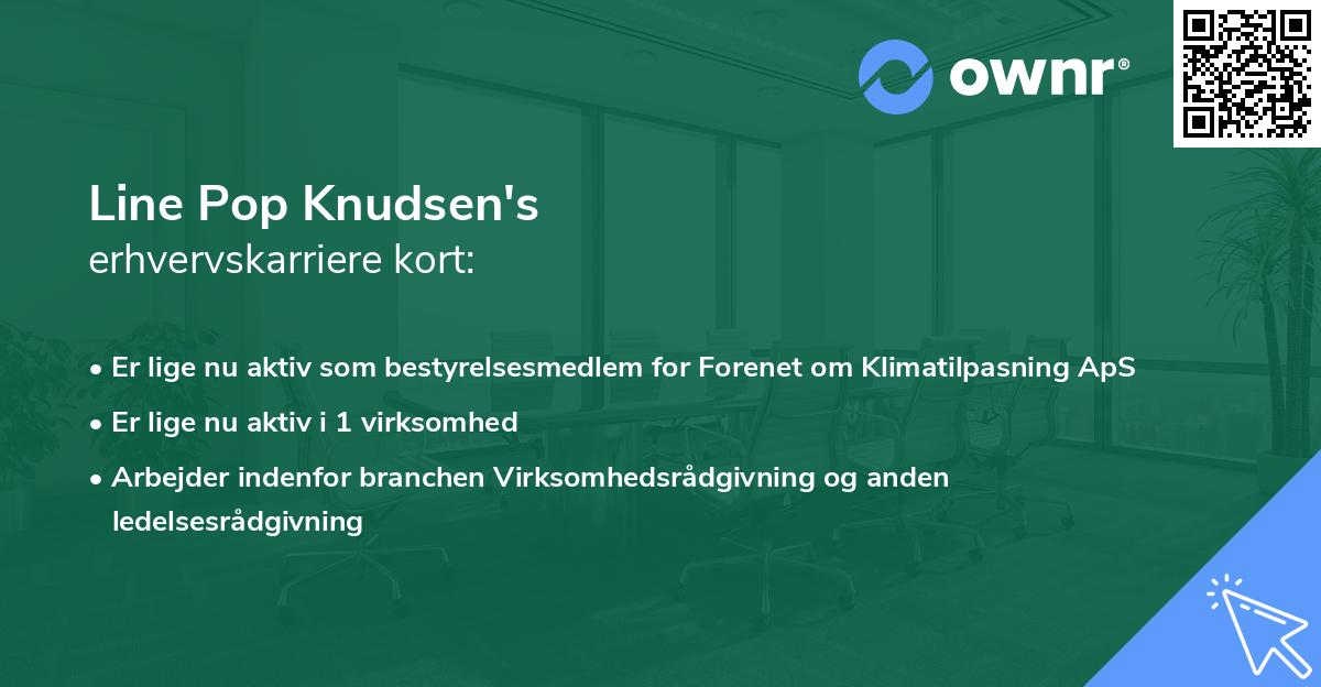 Line Pop Knudsen's erhvervskarriere kort