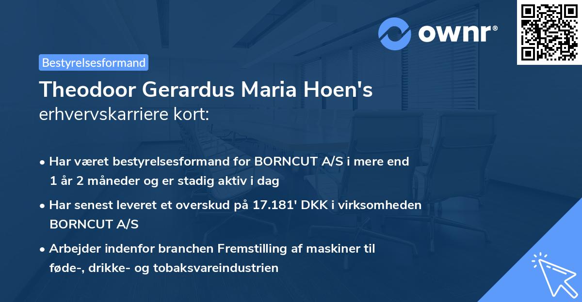 Theodoor Gerardus Maria Hoen's erhvervskarriere kort