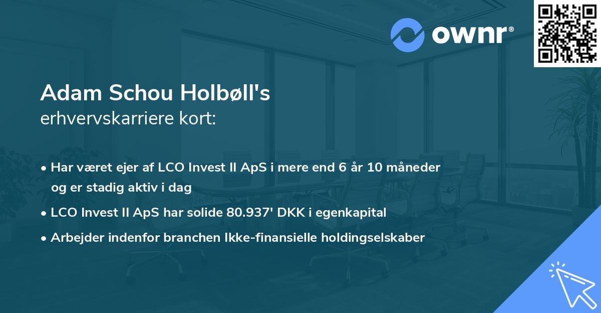 Adam Schou Holbøll's erhvervskarriere kort