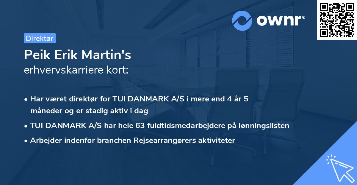 Peik Erik Martin's erhvervskarriere kort