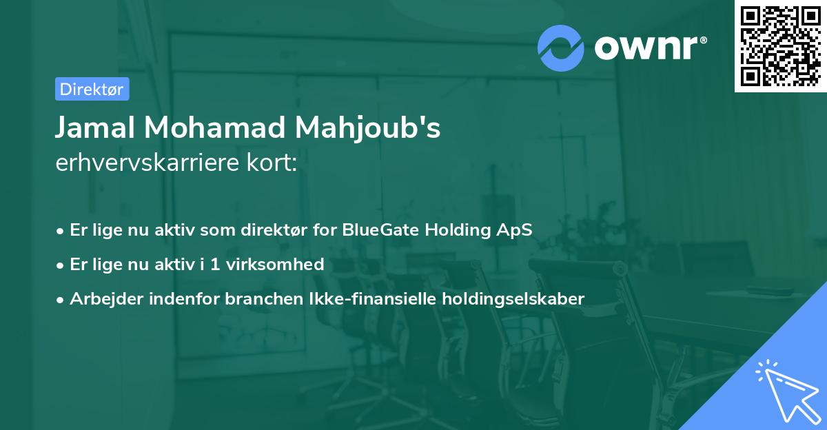 Jamal Mohamad Mahjoub's erhvervskarriere kort