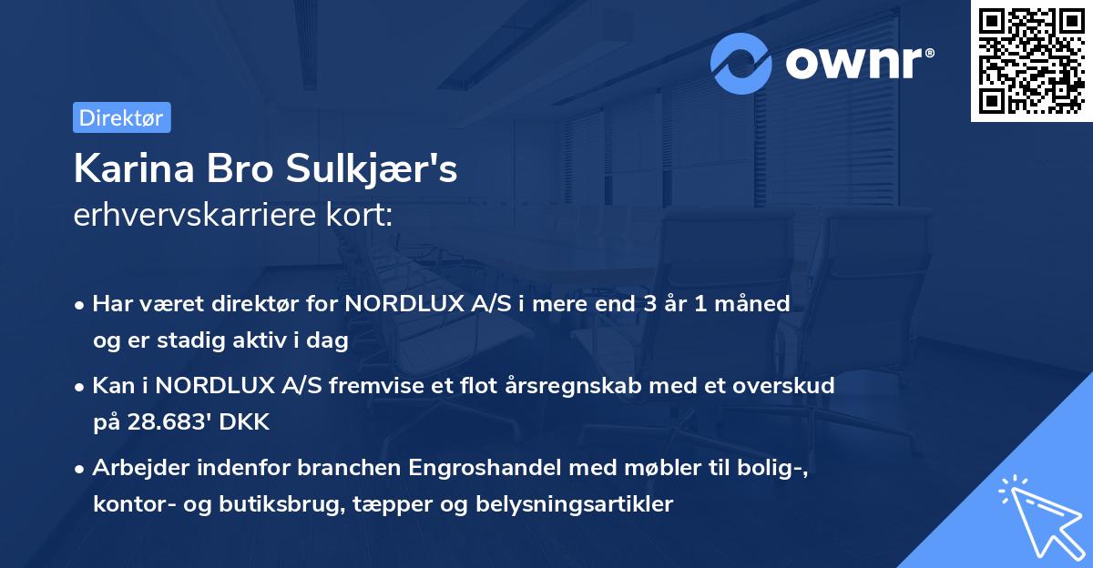 Karina Bro Sulkjær's erhvervskarriere kort