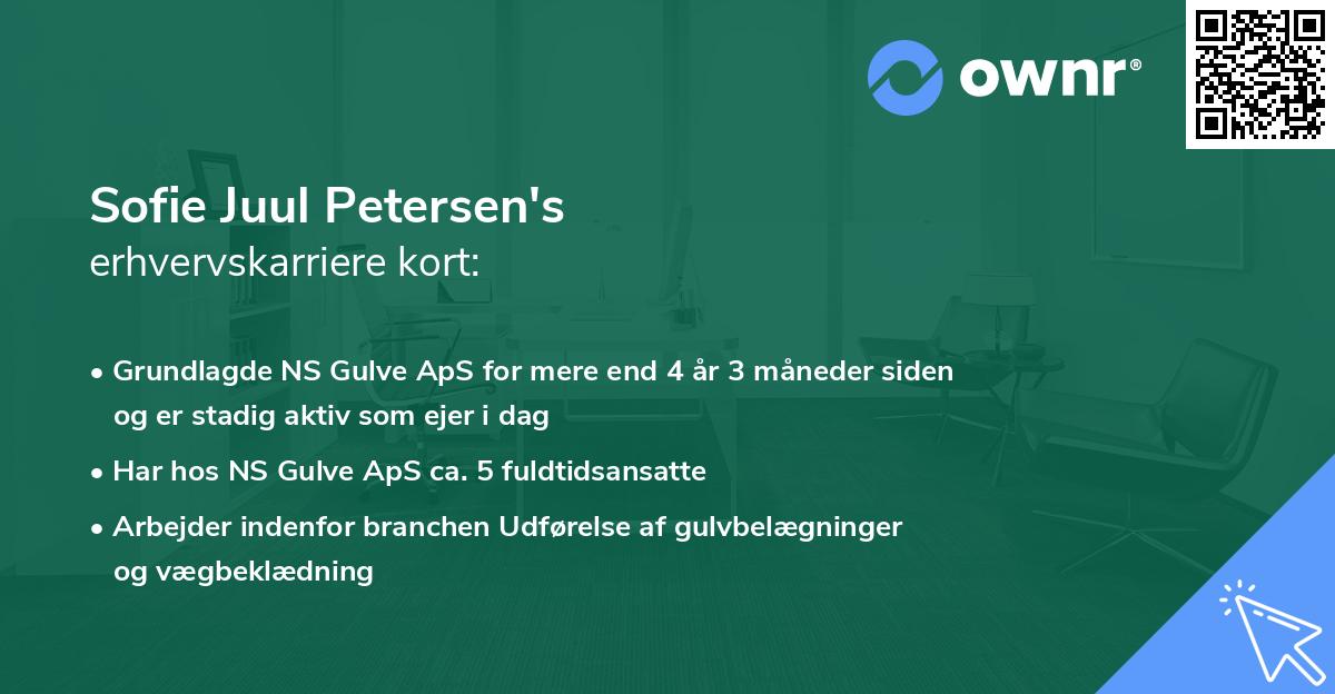 Sofie Juul Petersen's erhvervskarriere kort