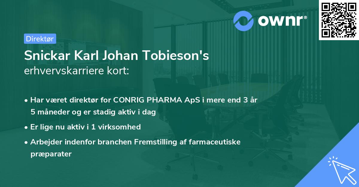 Snickar Karl Johan Tobieson's erhvervskarriere kort