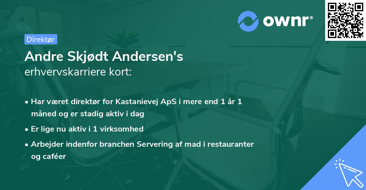 Andre Skjødt Andersen's erhvervskarriere kort