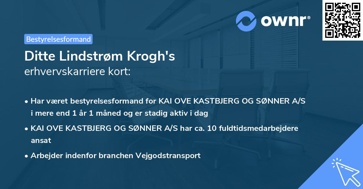 Ditte Lindstrøm Krogh's erhvervskarriere kort