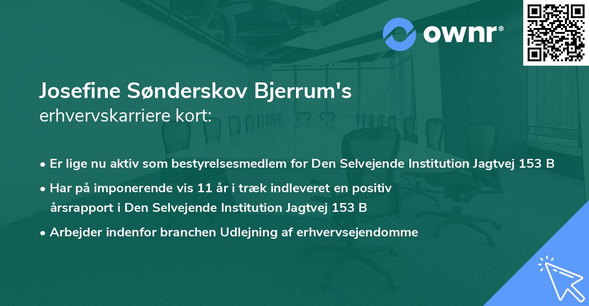 Josefine Sønderskov Bjerrum's erhvervskarriere kort