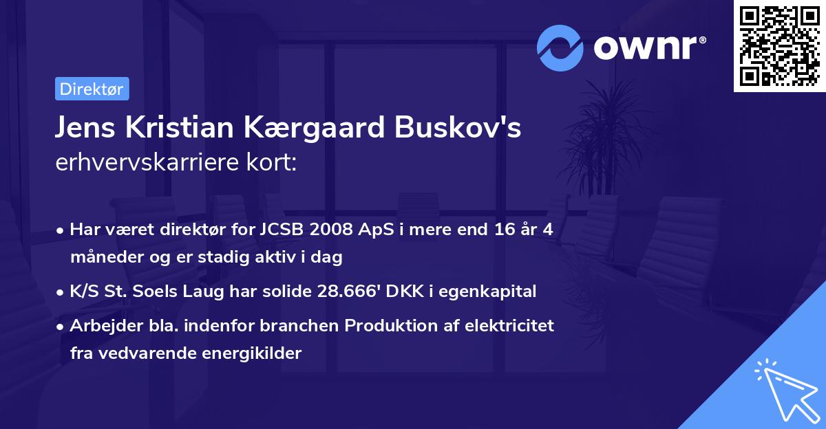 Jens Kristian Kærgaard Buskov's erhvervskarriere kort