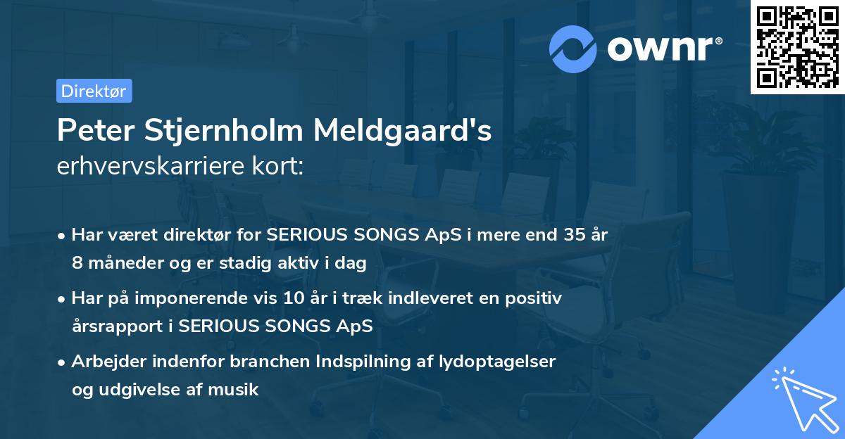 Peter Stjernholm Meldgaard's erhvervskarriere kort