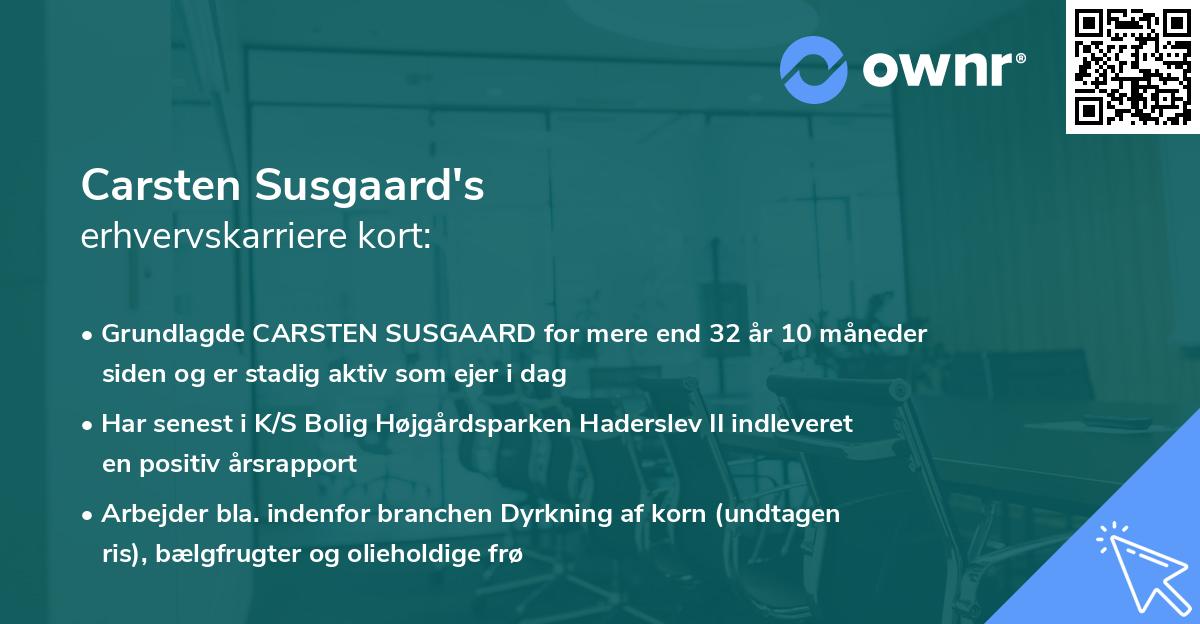 Carsten Susgaard's erhvervskarriere kort