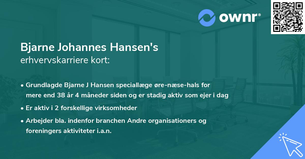 Bjarne Johannes Hansen's erhvervskarriere kort