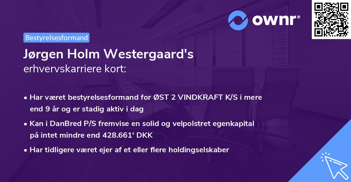 Jørgen Holm Westergaard's erhvervskarriere kort