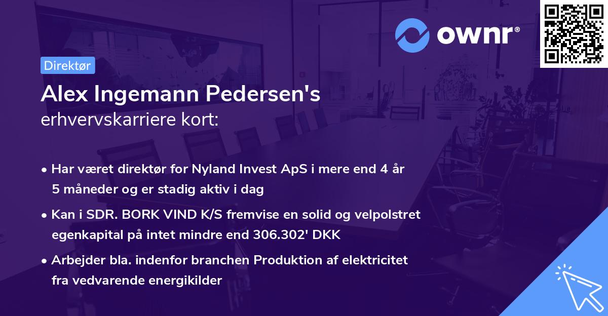 Alex Ingemann Pedersen's erhvervskarriere kort