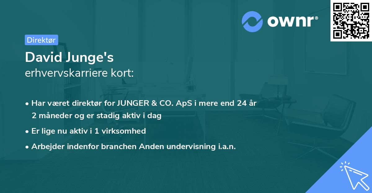 David Junge's erhvervskarriere kort