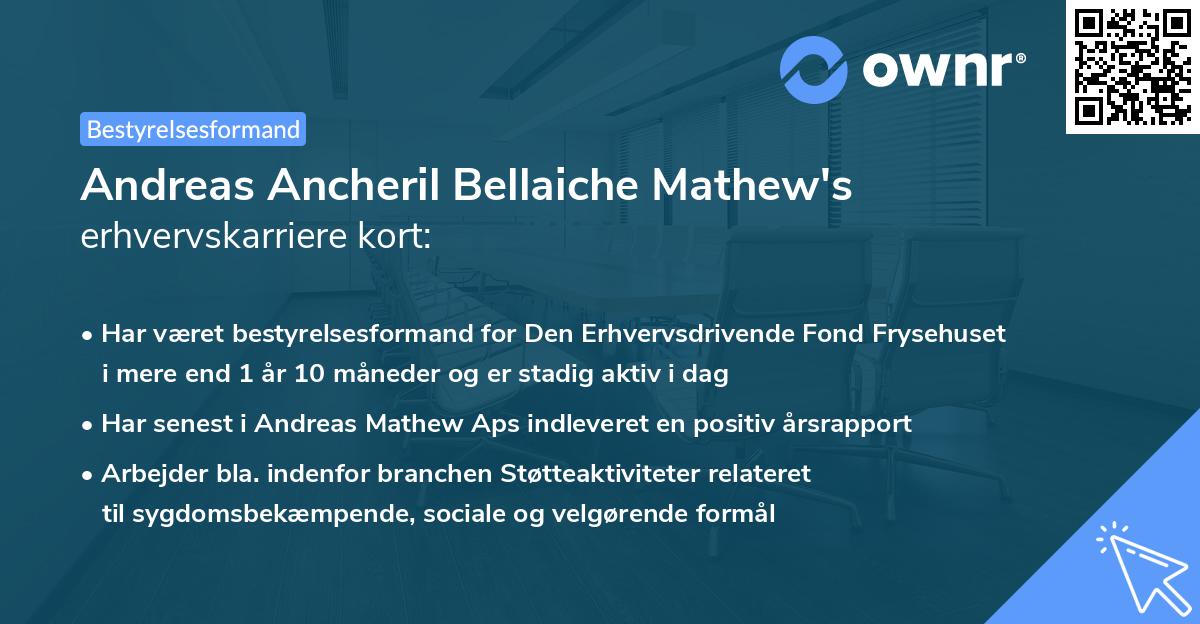Andreas Ancheril Bellaiche Mathew's erhvervskarriere kort