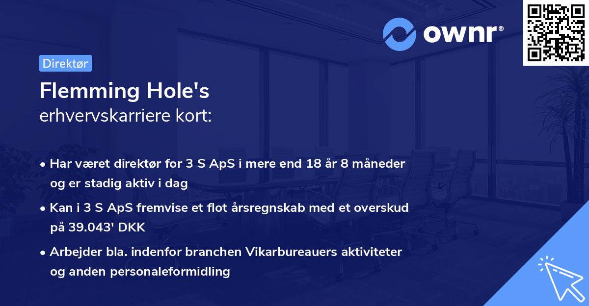 Flemming Hole's erhvervskarriere kort