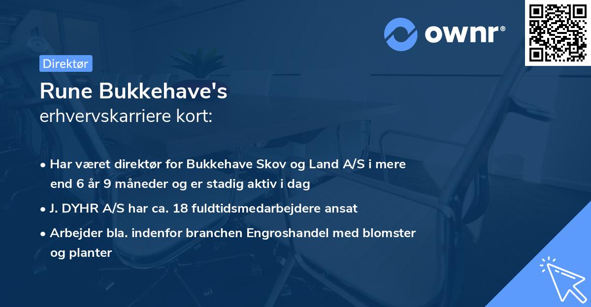 Rune Bukkehave's erhvervskarriere kort