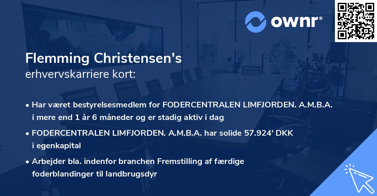 Flemming Christensen's erhvervskarriere kort