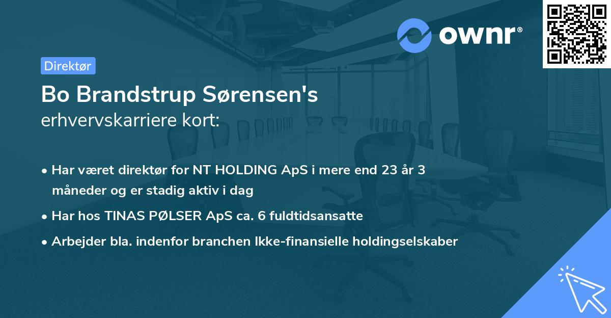 Bo Brandstrup Sørensen's erhvervskarriere kort