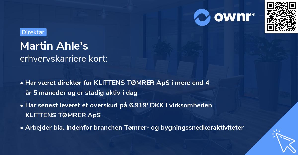 Martin Ahle's erhvervskarriere kort