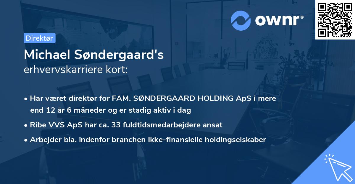 Michael Søndergaard's erhvervskarriere kort