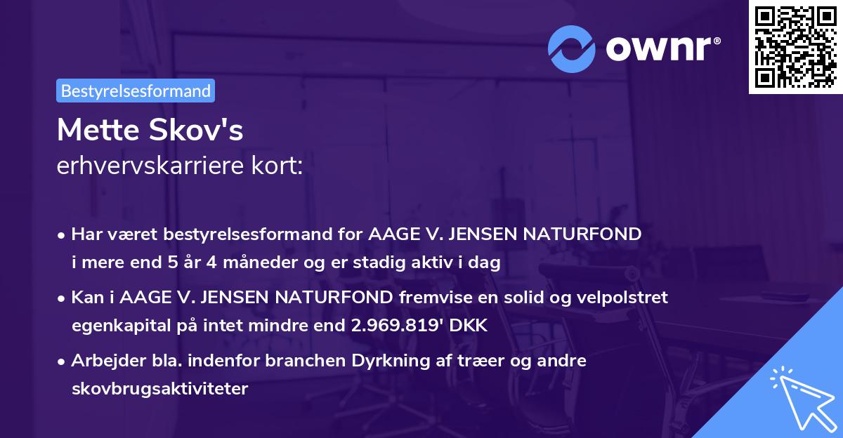 Mette Skov's erhvervskarriere kort
