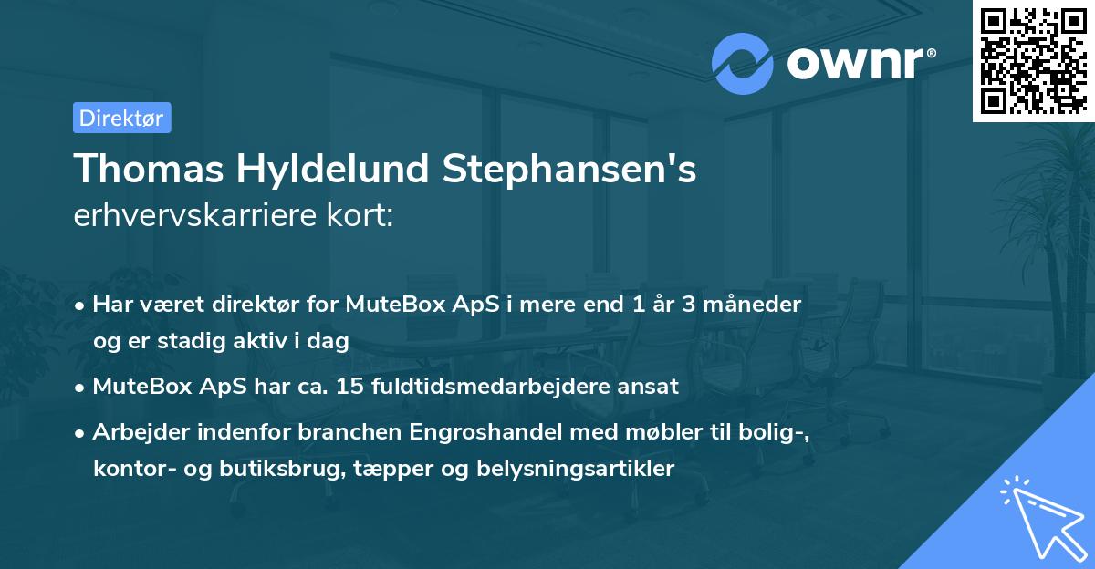 Thomas Hyldelund Stephansen's erhvervskarriere kort