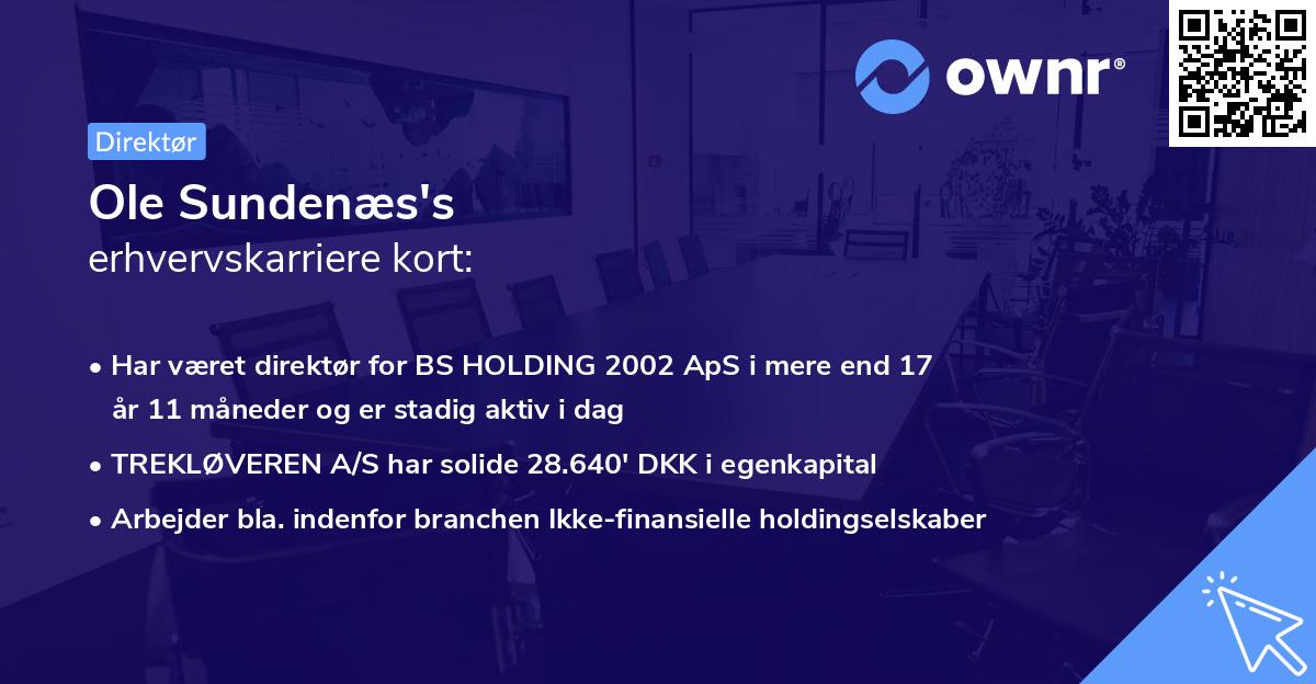 Ole Sundenæs's erhvervskarriere kort