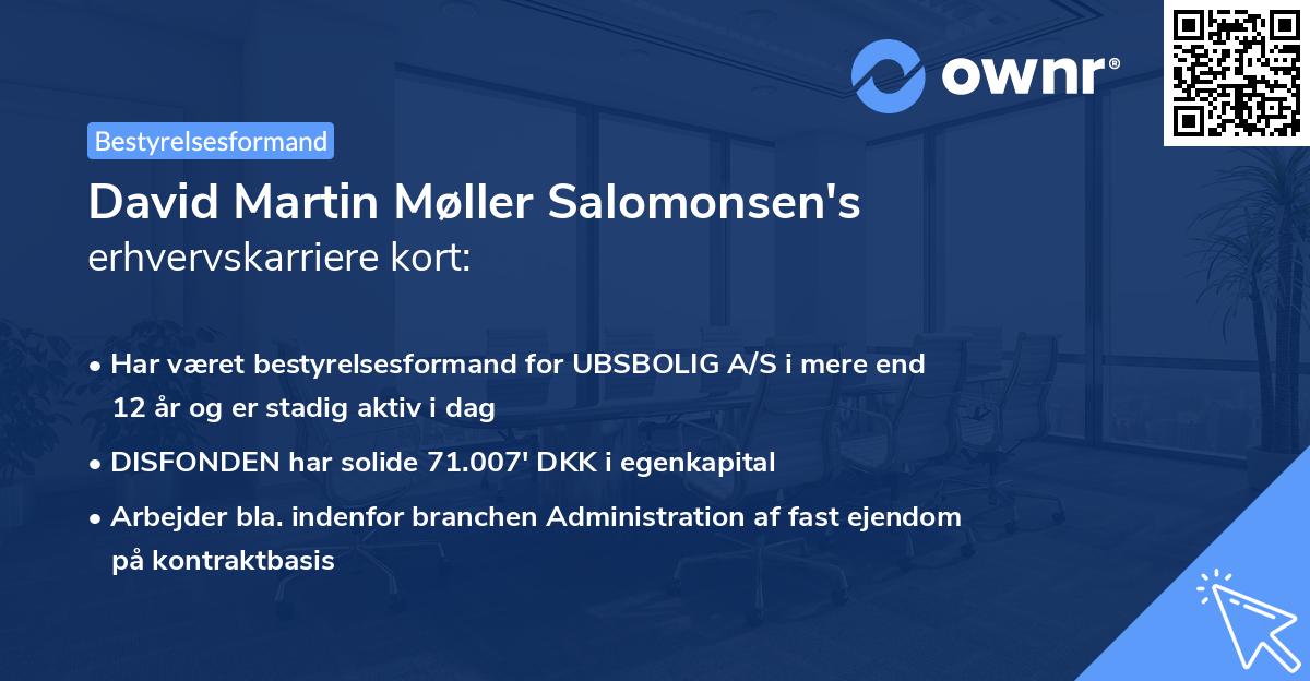 David Martin Møller Salomonsen's erhvervskarriere kort