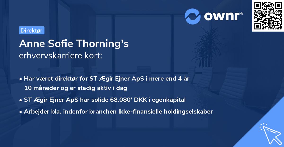 Anne Sofie Thorning's erhvervskarriere kort