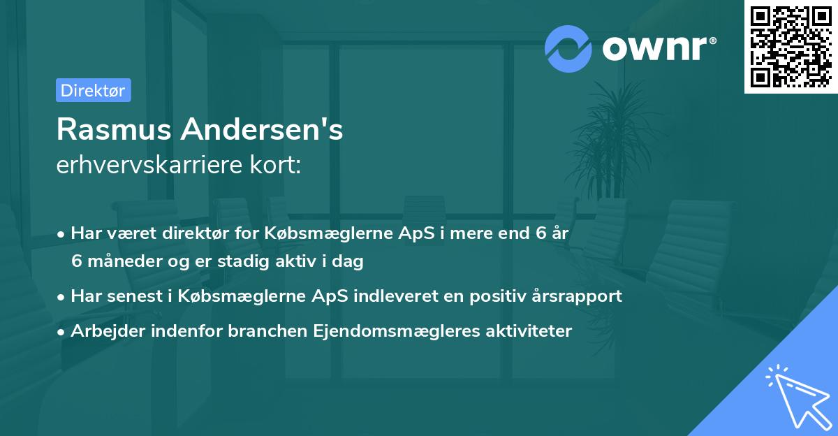 Rasmus Andersen's erhvervskarriere kort
