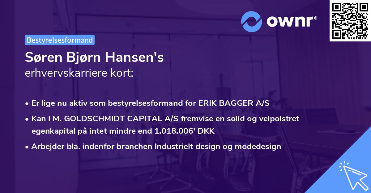 Søren Bjørn Hansen's erhvervskarriere kort