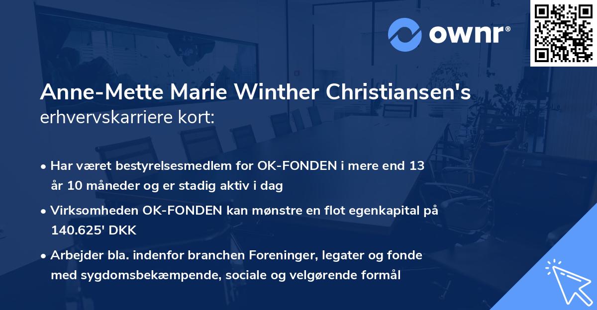 Anne-Mette Marie Winther Christiansen's erhvervskarriere kort