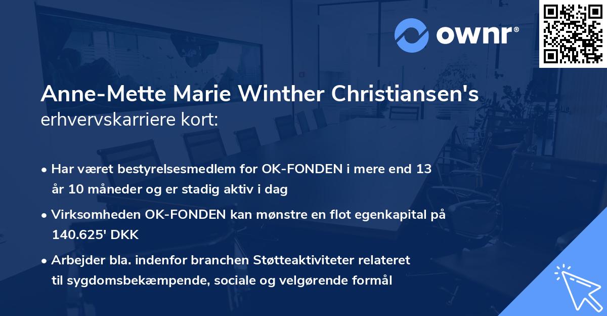 Anne-Mette Marie Winther Christiansen's erhvervskarriere kort