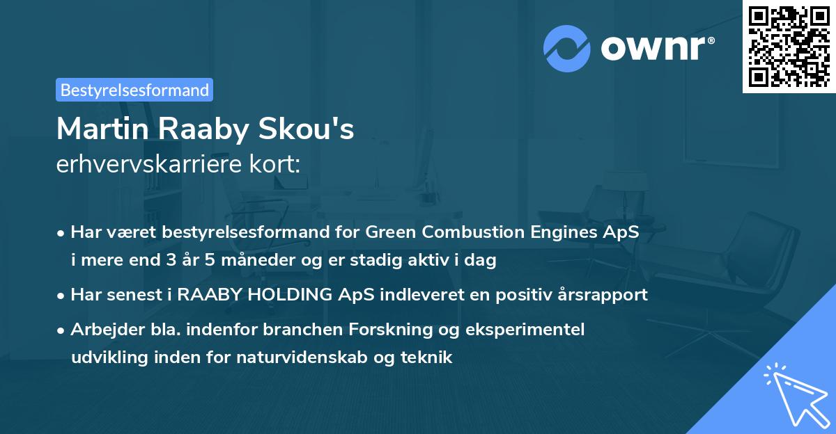 Martin Raaby Skou's erhvervskarriere kort