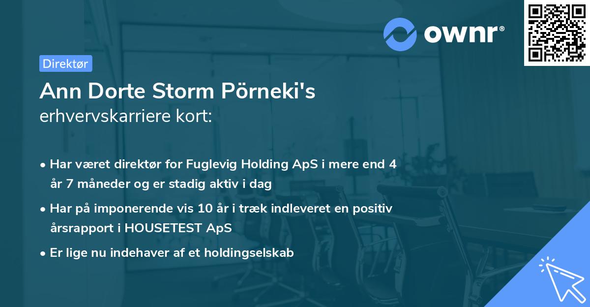 Ann Dorte Storm Pörneki's erhvervskarriere kort