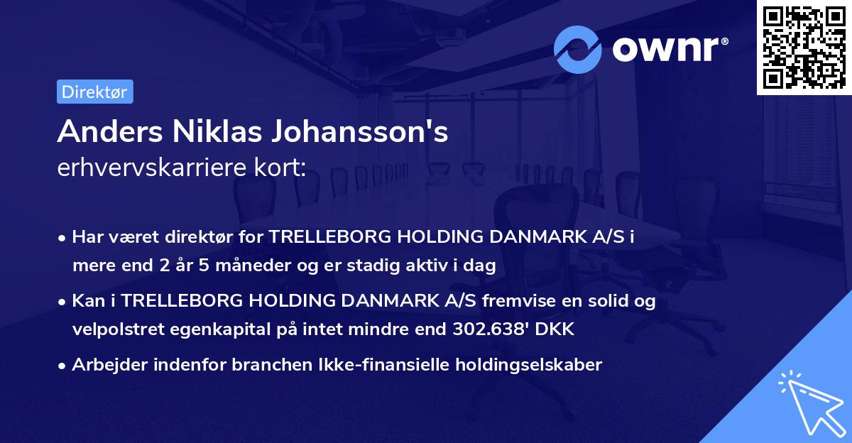 Anders Niklas Johansson's erhvervskarriere kort