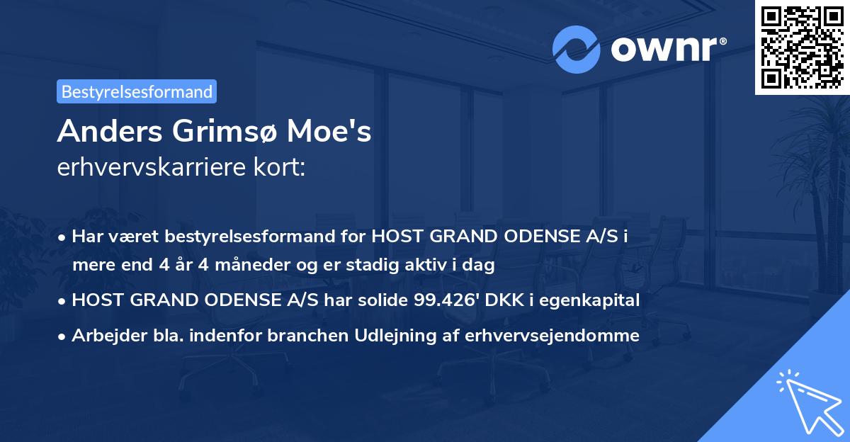 Anders Grimsø Moe's erhvervskarriere kort
