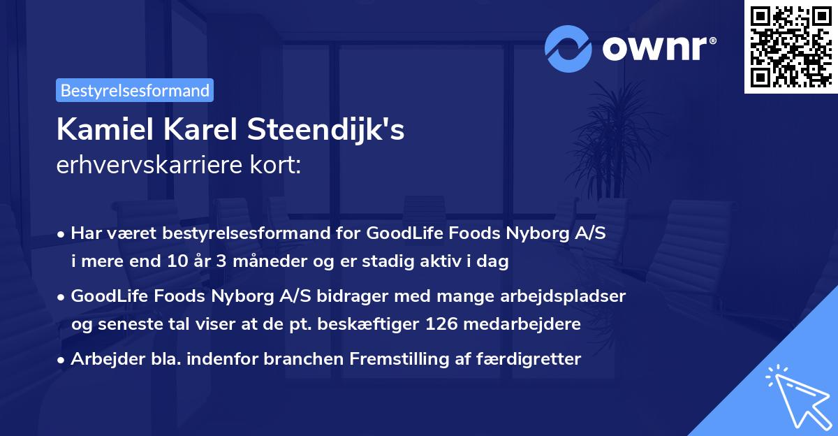 Kamiel Karel Steendijk's erhvervskarriere kort